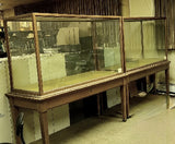 Vintage Early 20th Century Locking Walnut & Glass Museum Display Cabinets made for the Toledo Museum of Art