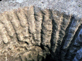 17th Century Italian Limestone Well Head "Rape of the Sabine Women"