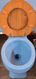 1979 Kohler Wellworth Toilet in New Orleans Blue